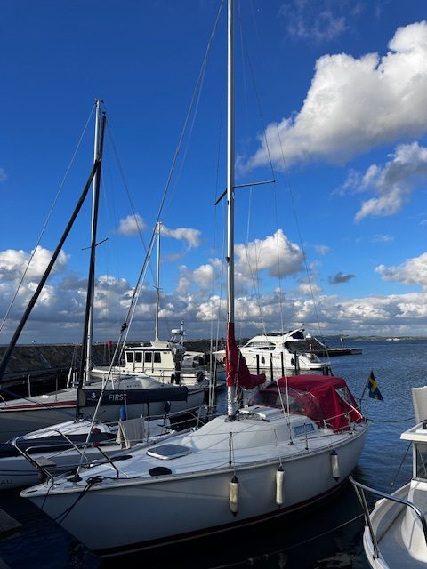 Till salu: Albin 78 Cirrus – bild 5