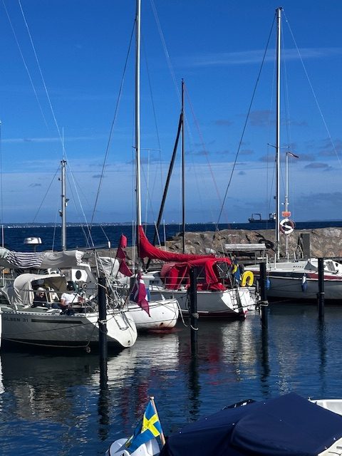 Till salu: Albin 78 Cirrus – bild 4